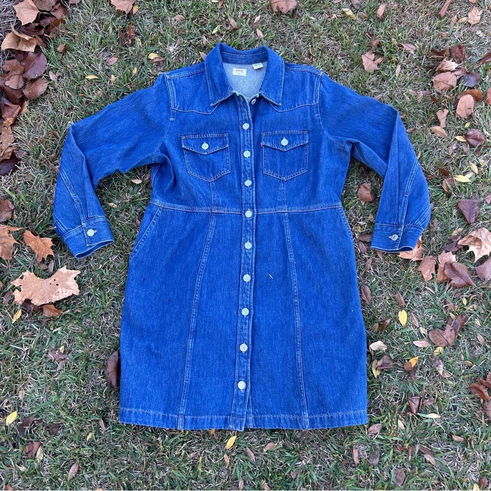Levi's Flynn Western Core Dress